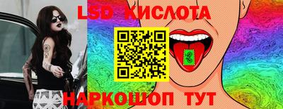 дмт Краснодар