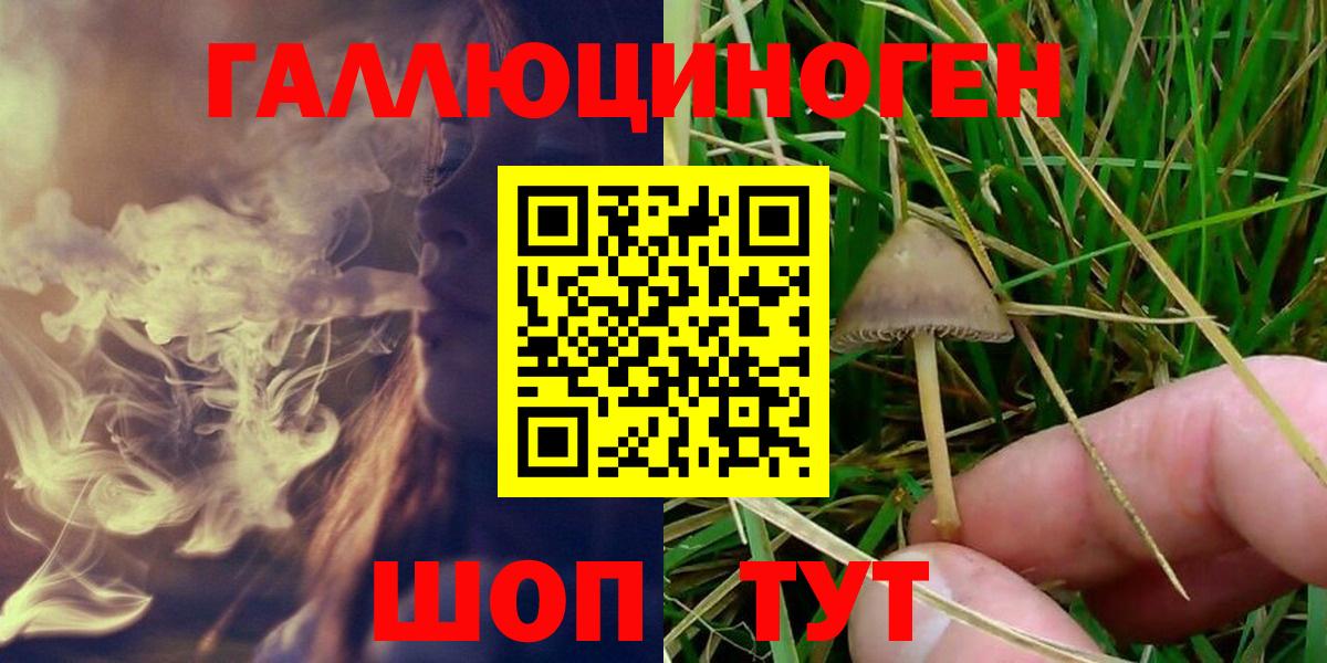 Псилоцибиновые грибы Psilocybine cubensis  Галлюциногенные грибы ЛСД  Котлас  дарнет шоп  Вход с VPN 